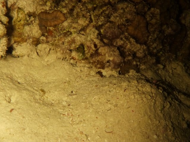 p1030777.jpg