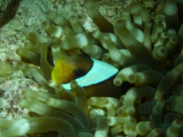 p1030779.jpg