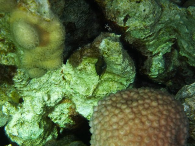 p1030809.jpg