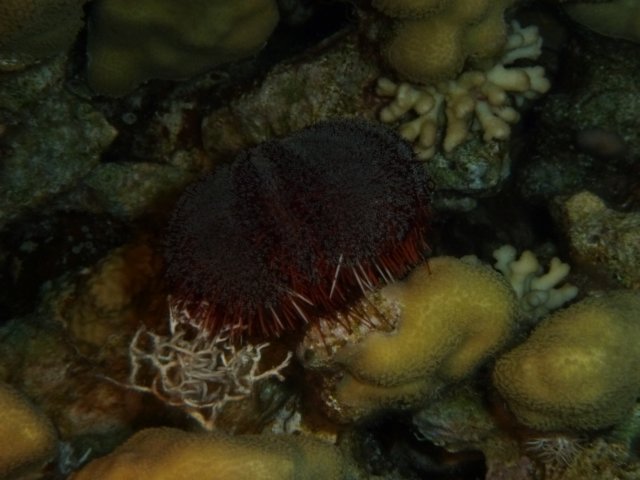 p1030811.jpg