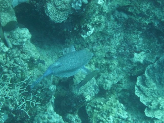 p1030844.jpg