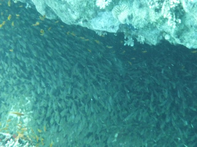 p1030846.jpg