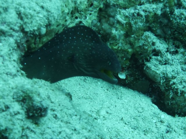 p1030848.jpg