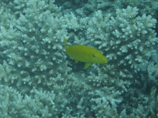 p1030860.jpg