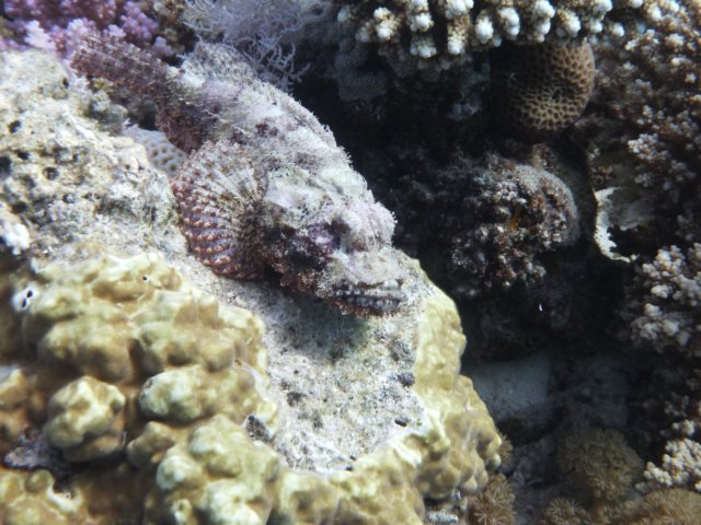 p1030876.jpg