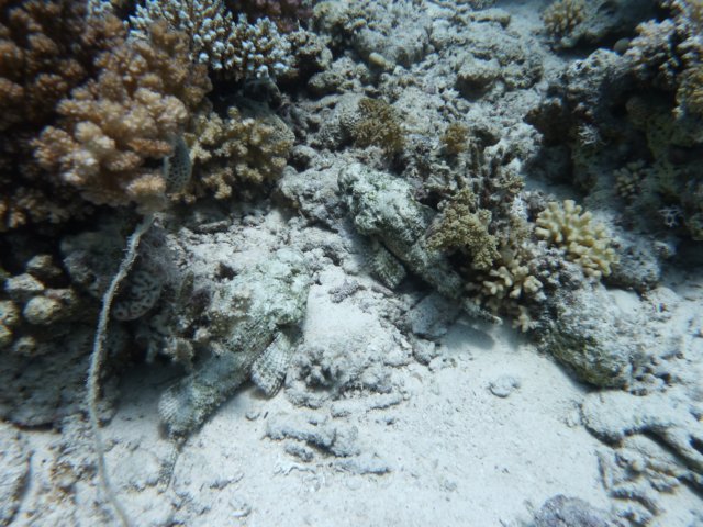 p1030900.jpg