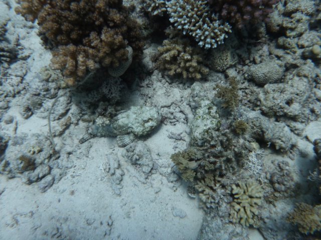 p1030901.jpg