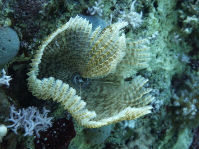 p1030920.jpg