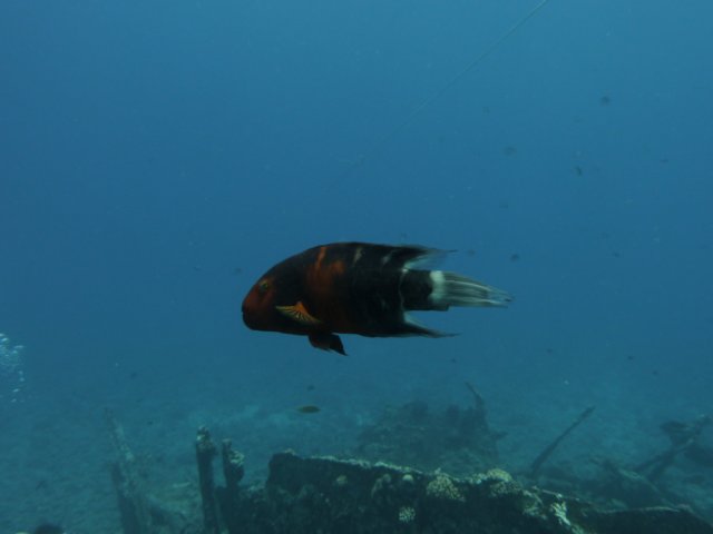 p1030927.jpg