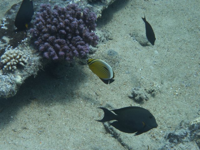 p1030930.jpg