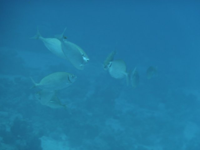 p1030944.jpg