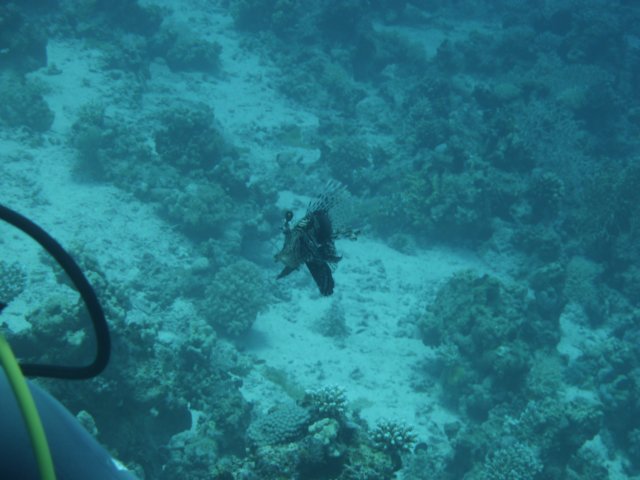 p1030946.jpg