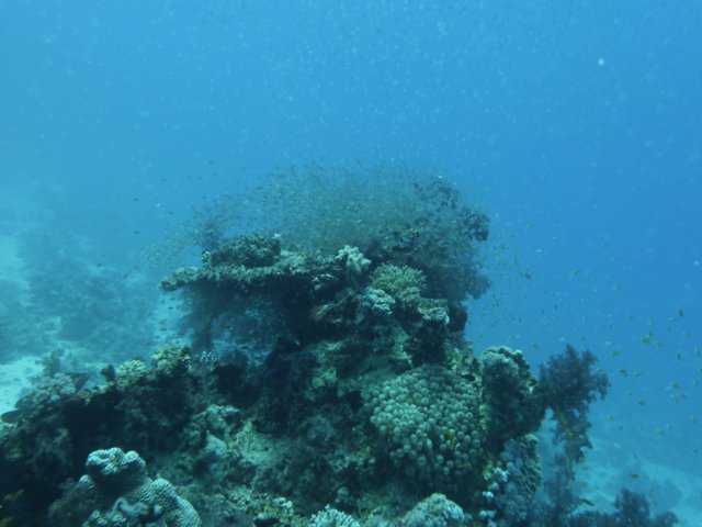 p1030950.jpg