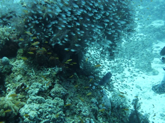 p1030952.jpg