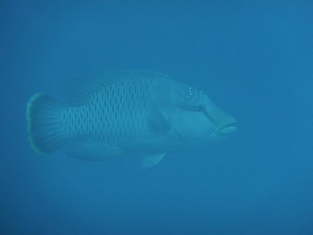 p1030994.jpg