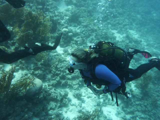 p1030997.jpg