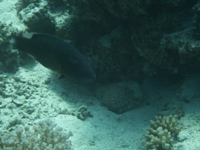 p1040017.jpg