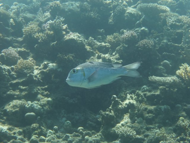 p1040072.jpg