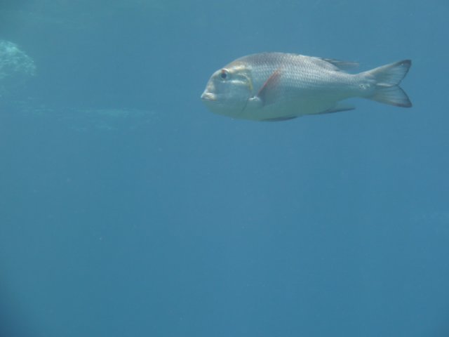 p1040079.jpg