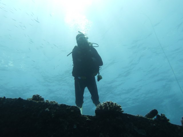 p1040091.jpg