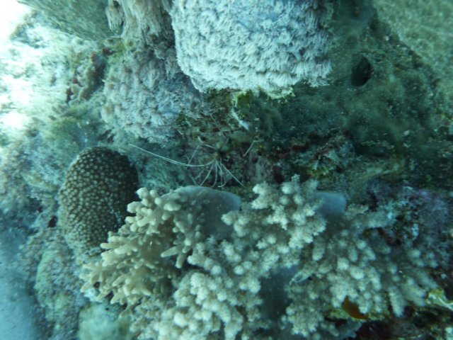 p1040115.jpg