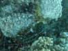 p1040116_small.jpg