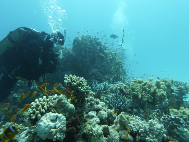 p1040127.jpg