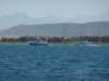 p1040164_small.jpg