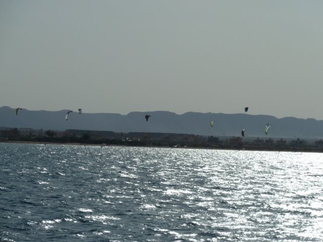 p1040167.jpg