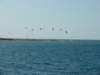 p1040178_small.jpg