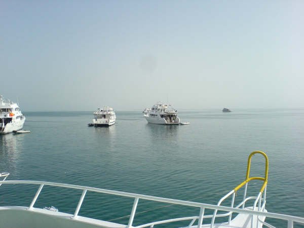 gypten200619.jpg