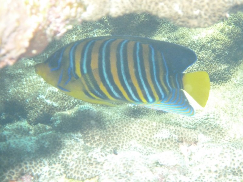 p1060458.jpg