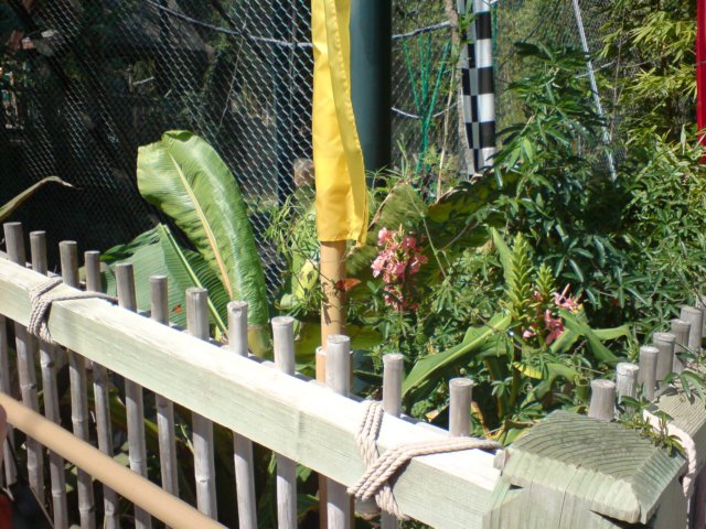 photo573.jpg