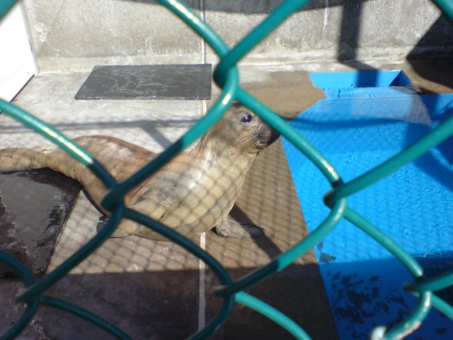 photo643.jpg