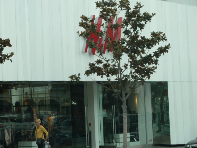 p1000431.jpg