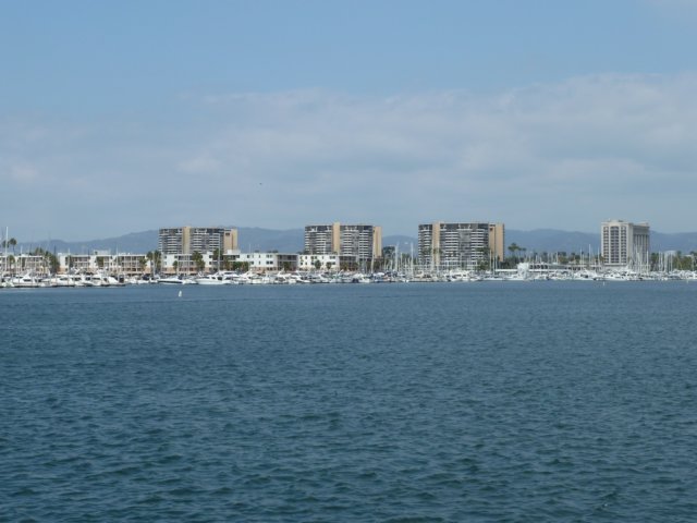 p1000455.jpg
