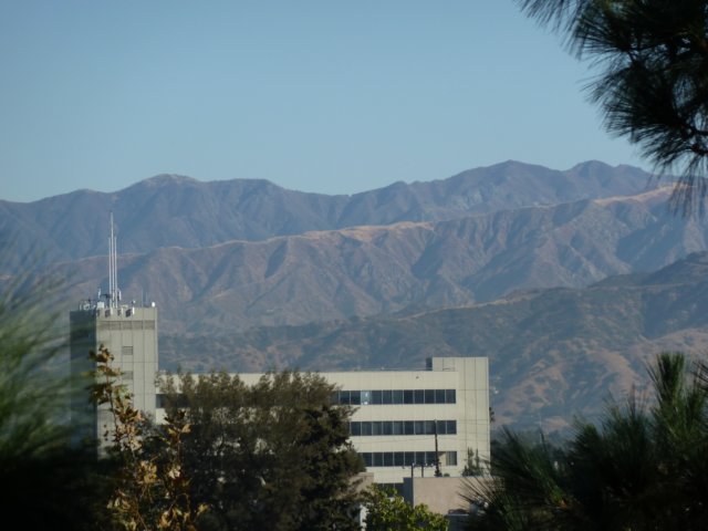 p1000609.jpg