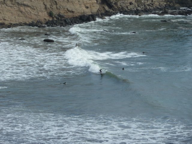 p1000815.jpg