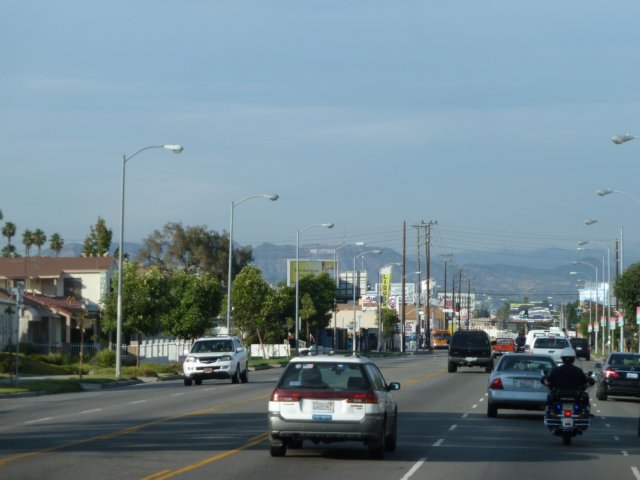 p1000826.jpg