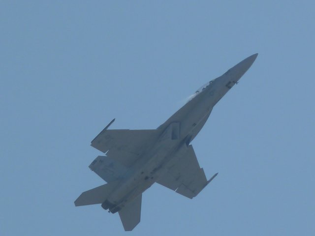 p1000945.jpg