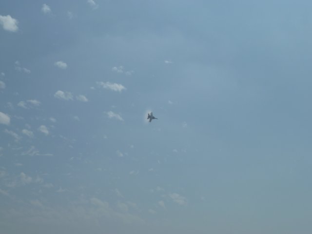 p1000947.jpg