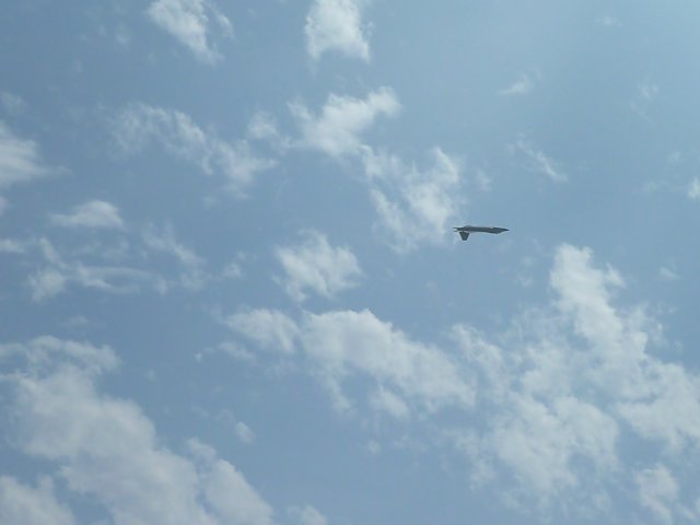 p1000987.jpg