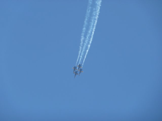 p1010145.jpg