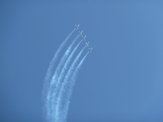 p1010156.jpg