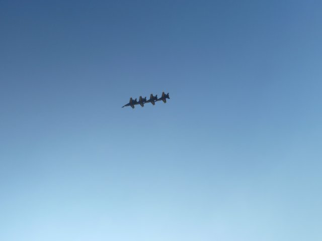 p1010158.jpg