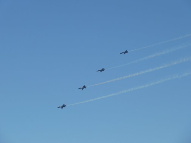 p1010169.jpg