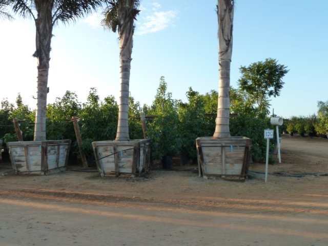 p1010205.jpg