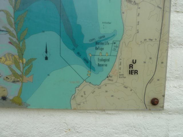 p1010262.jpg