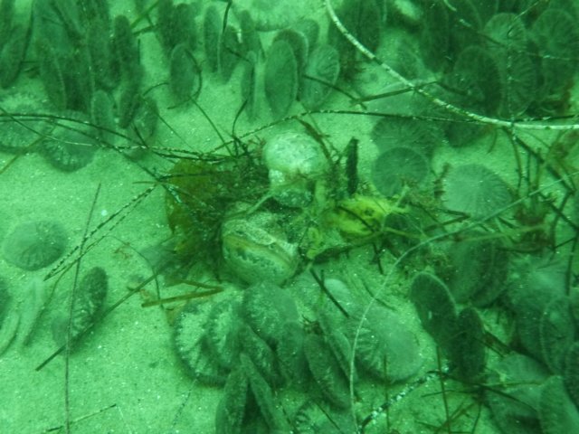 p1010273.jpg