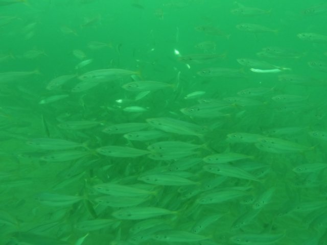 p1010276.jpg